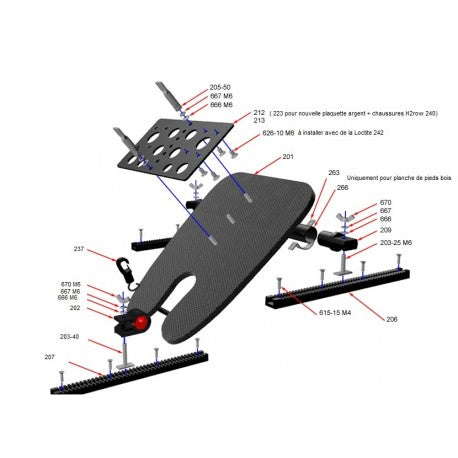 Planche de pieds carbone